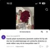 Wszystko fajnie