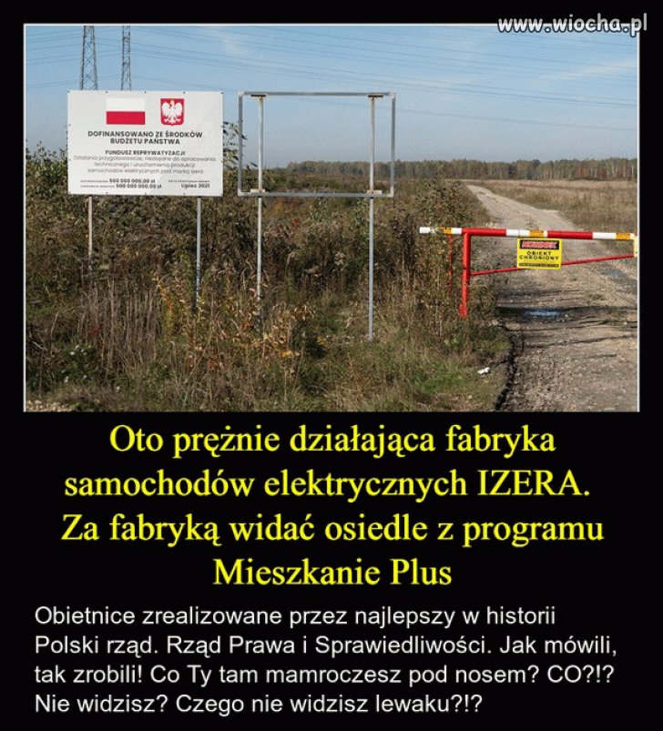 Pisowski "sukces"