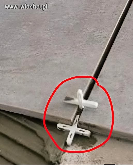 Znowa obraza uczuć religijnych.