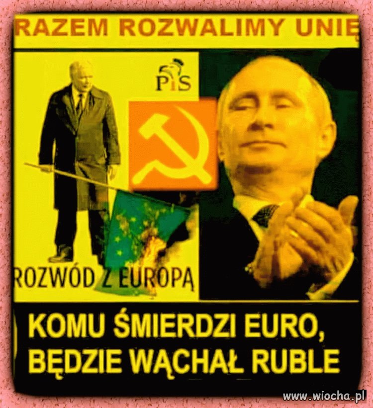Putin się cieszy z takich debili jak pisowcy