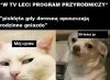 Jestem tylko 30-letnim nastolatkiem