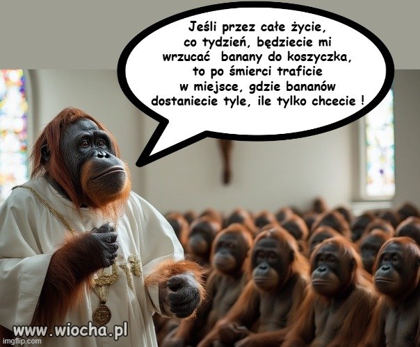 Nawet małpy się na to nie dają nabrać.