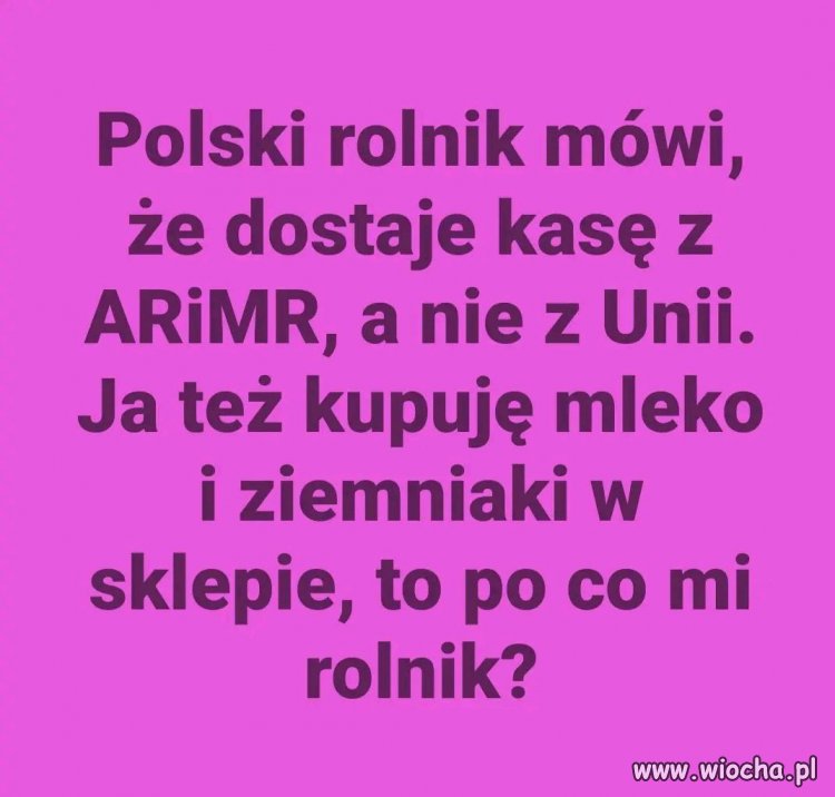 Ciekawostka.