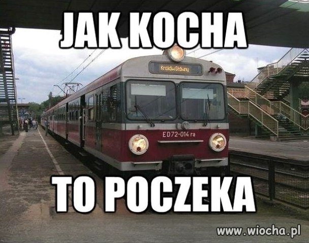 Kocha, nie kocha, kocha, nie kocha