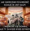 Dyplomacja level master