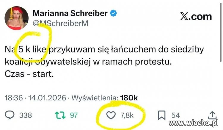 Czy Marianna przykuje się łańcuchem do siedziby KO?