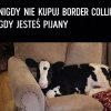 Niespodzianka na kanapie!