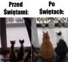 Przed i po świętach...