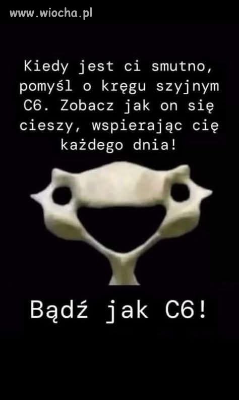 Zobacz, jak C6 cieszy się życiem!