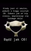 Zobacz, jak C6 cieszy się życiem!
