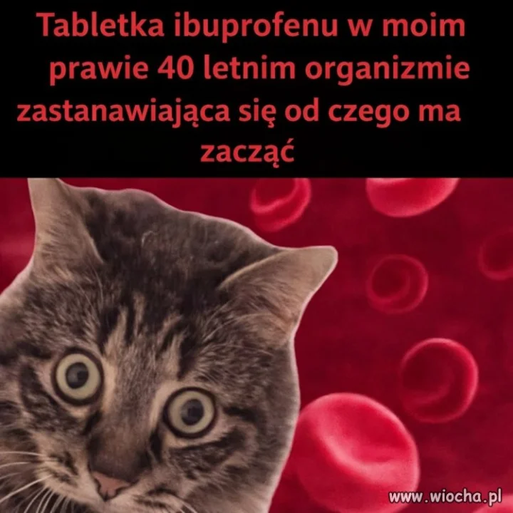 Od czego by tu zacząć