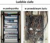 Anatomia wcale nie jest taka prosta