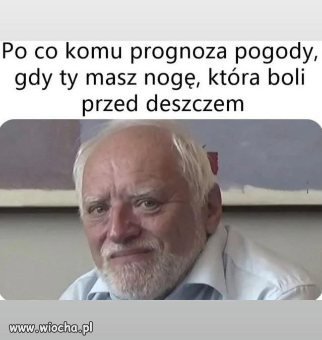 Prognoza premium