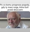 Prognoza premium