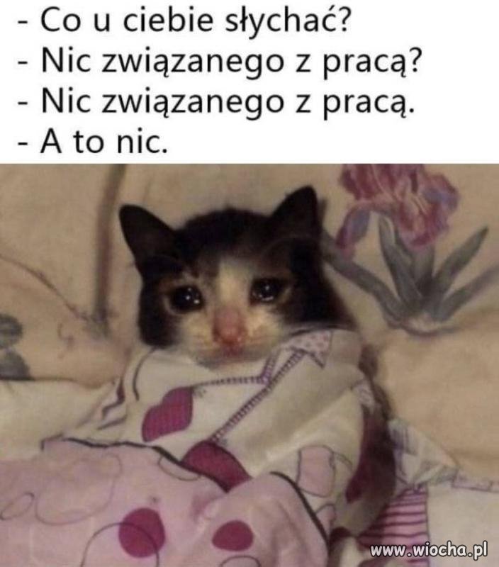 Tylko praca, praca i praca