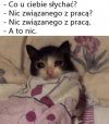 Tylko praca, praca i praca