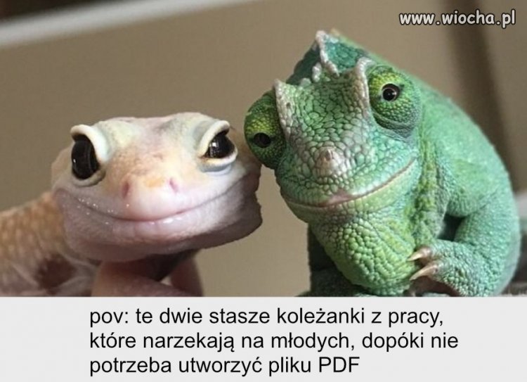 Roszczeniowe pokolenie