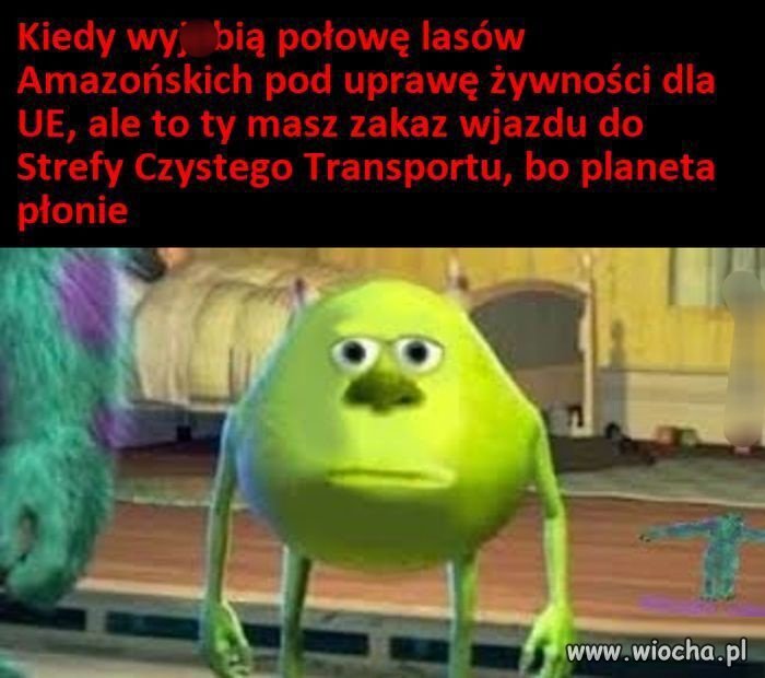 Czy tylko ja mam wrażenie 