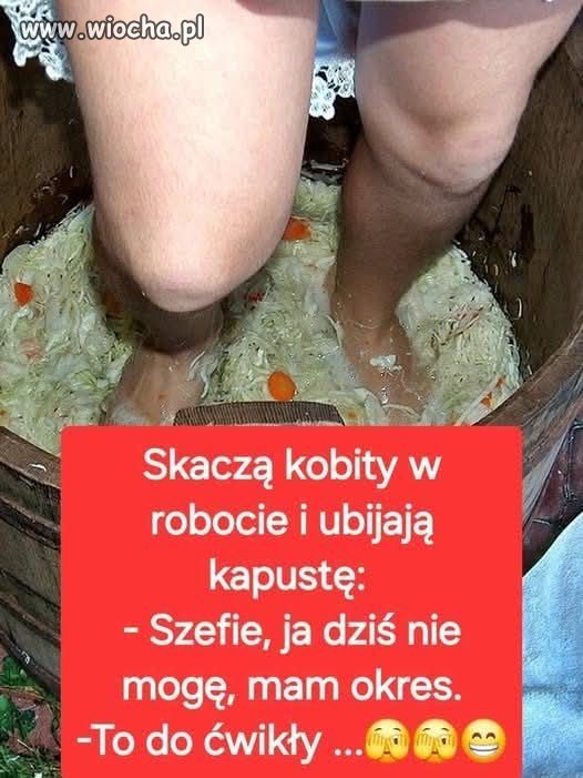 Bez polityki