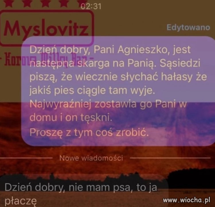 Dzień dobry, proszę zapytać sąsiadki