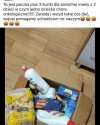 Roszczeniowość to drugie imię 