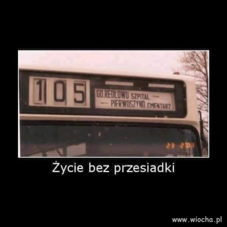 Życie jest nowelą