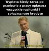 Kontakt krótki