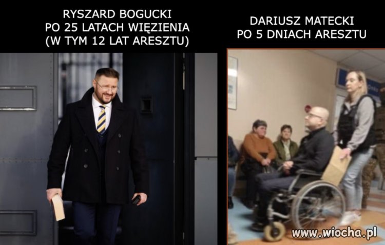 Grypsujący vs c-słówko z frajern