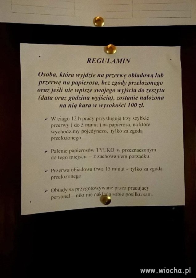 Regulamin w jednej z firm ("korpo")