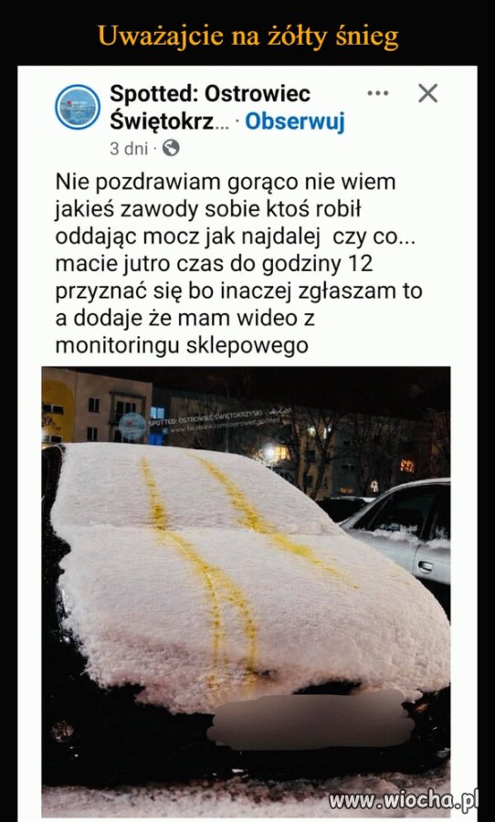 Żółty śnieg