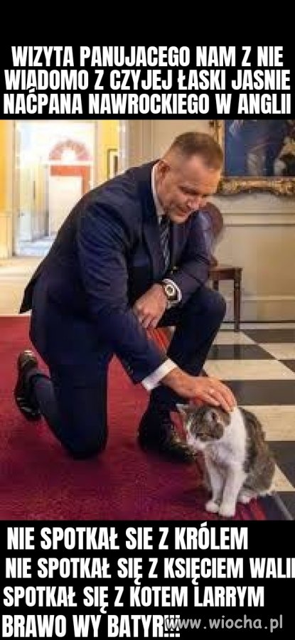 Spotkanie na szczycie larry i batyr