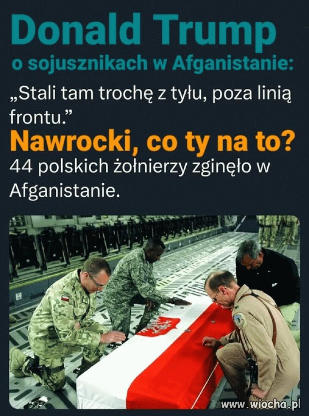 Pomarańczowy idiota