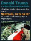 Pomarańczowy idiota