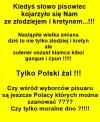 Kiedyś słowo pisowiec kojarzyło się Nam ze złodziejem i kretynem...!!!