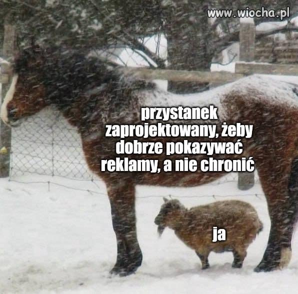 Gdy projektujesz przystanek, ale nie masz budżetu