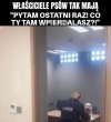 Pies ma prawo