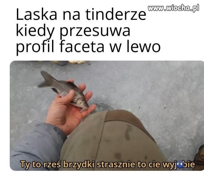 Nawet ryba się zgadza