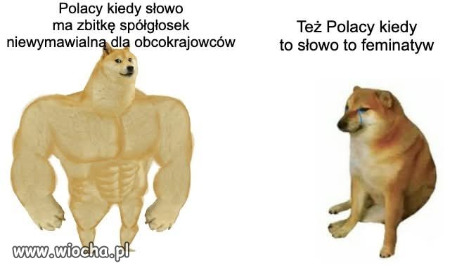 Tylko tu zostawię.