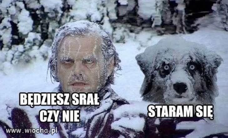 Motywacja w wersji brutalnej