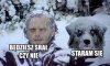 Motywacja w wersji brutalnej