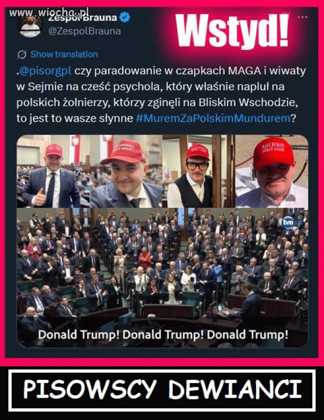 Debile pozostaną debilami