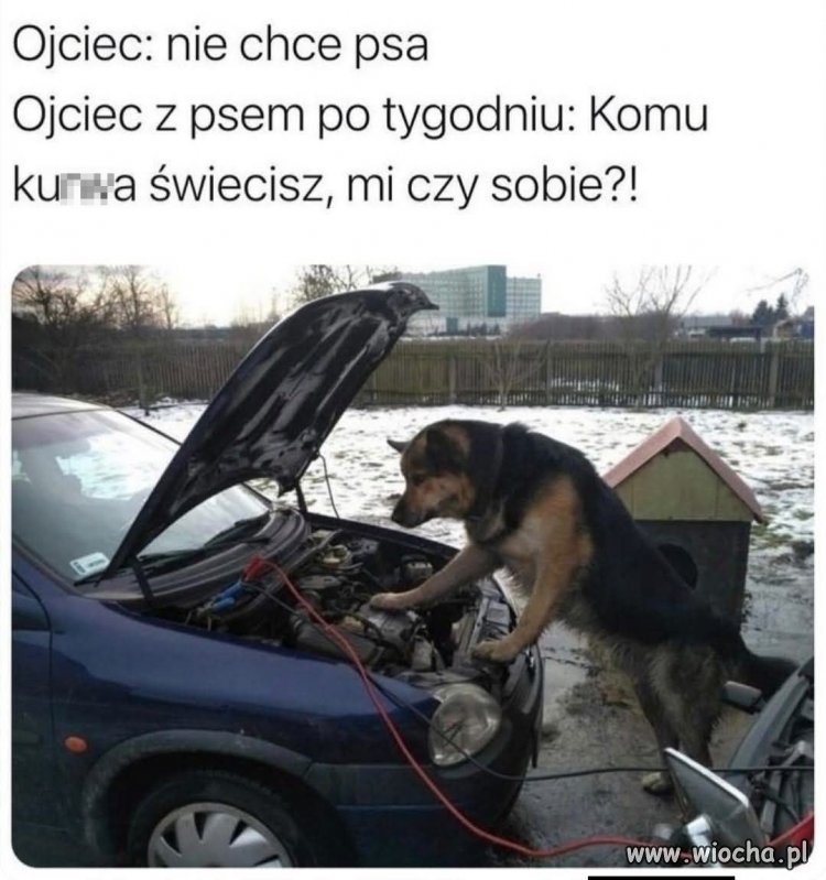 Plot twist jest taki, że