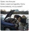 Plot twist jest taki, że