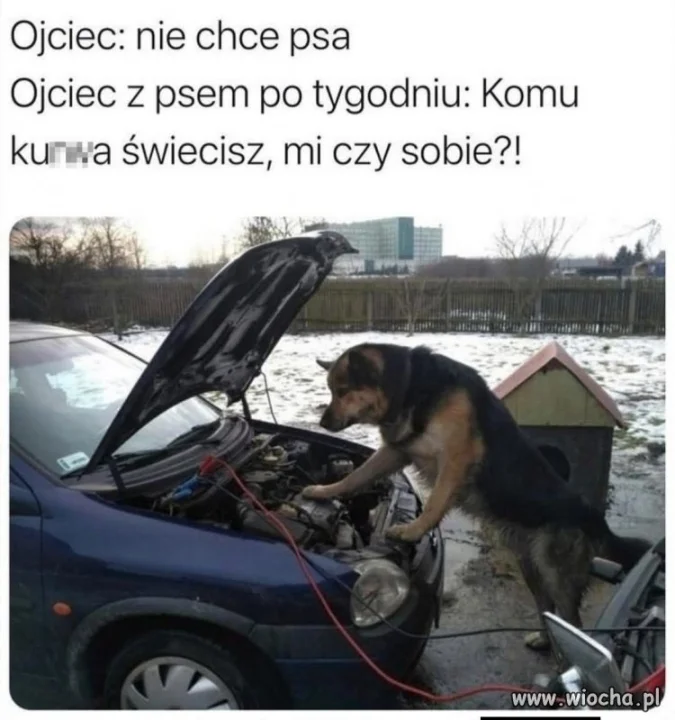 Plot twist jest taki, że