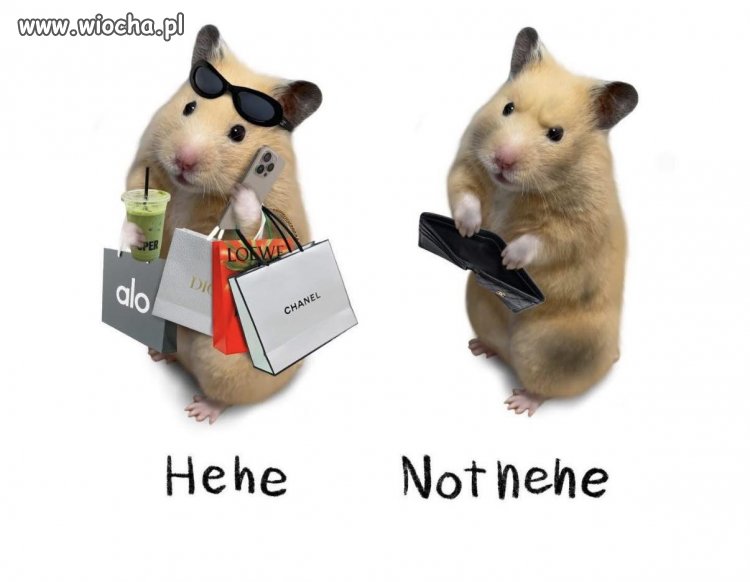 Dzień wypłaty jest niezwykle krótki