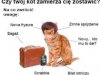 Skąd on ma nowy łańcuch?
