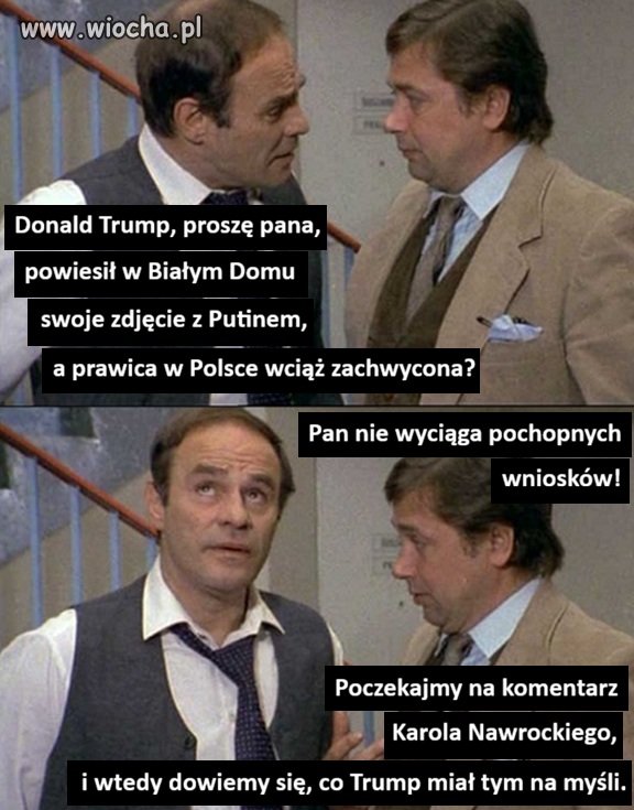 Alternatywy 4, 
