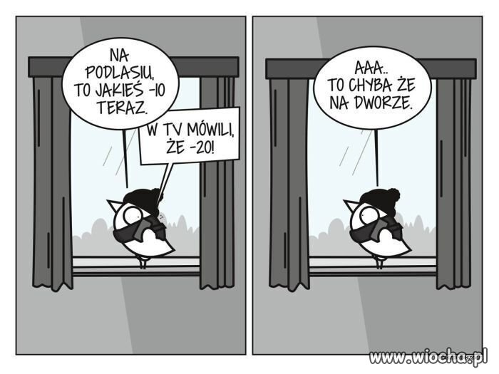 Zimno, Zimno 