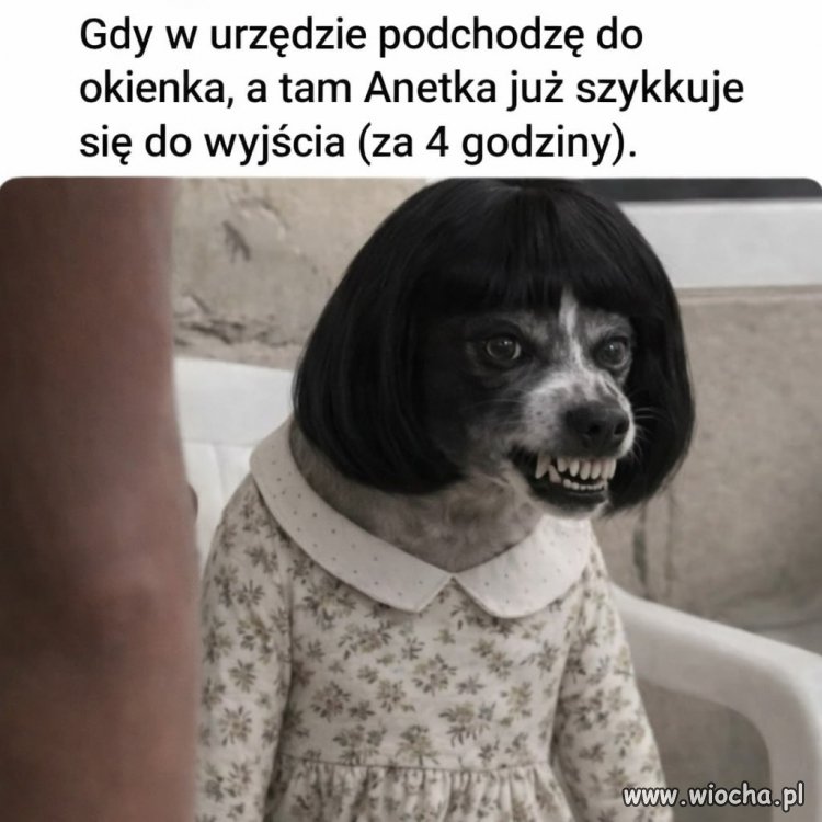 Obsługa interesanta