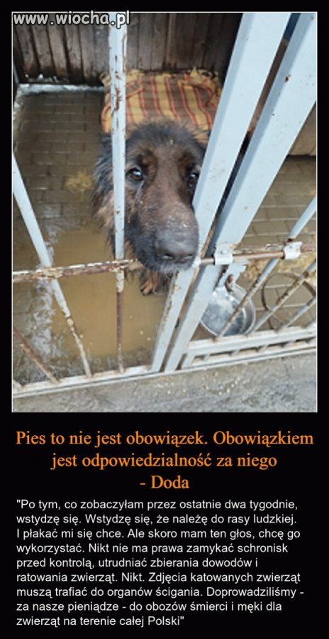 Nie lubię Dody ale tu ma u mnie dużego lajka